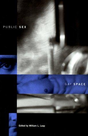 Cover for Public sex/gay space