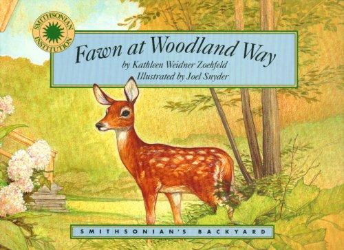 Cover for Fawn at Woodland Way