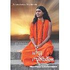 Cover for Why Meditation