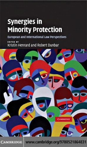 Cover for Synergies in minority protection