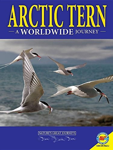 Cover for Arctic Terns