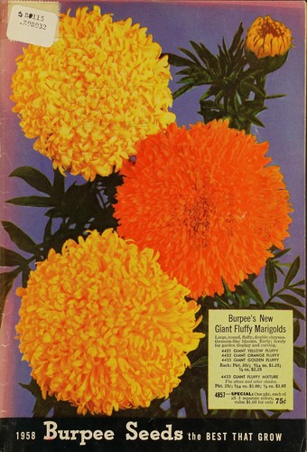 Cover for 1958 Burpee seeds