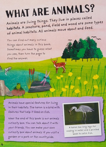 Cover for Curiosity Box : Animals