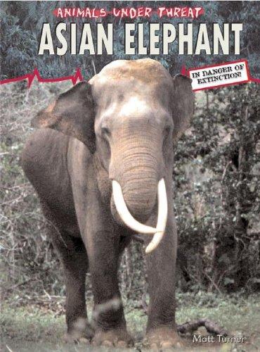 Cover for Asian Elephants (Animals Under Threat)