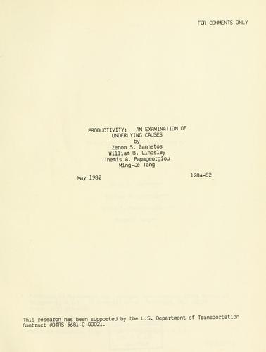 Cover for Productivity : an examination of underlying causes