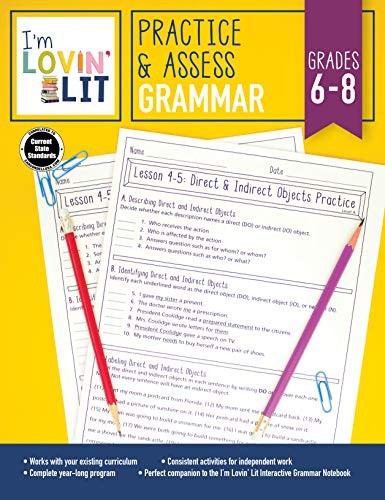 Cover for I'm Lovin' Lit Practice and Assess