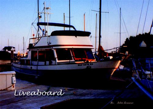 Cover for Liveaboard