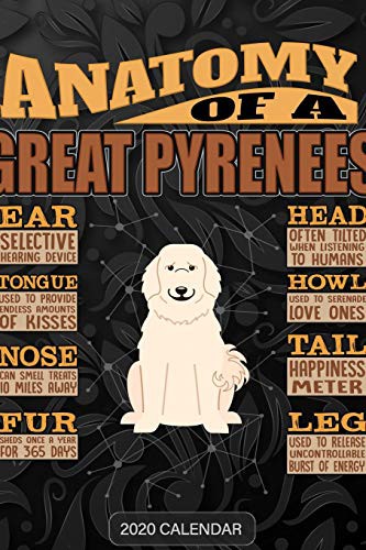Cover for Anatomy Of A Great Pyrenees