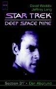 Cover for Star Trek. Deep Space Nine 29. Der Abgrund. Section 31.