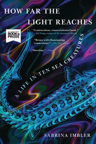Cover for How Far the Light Reaches