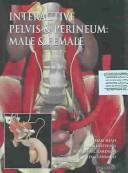 Cover for Interactive pelvis & perineum h [electronic resource].