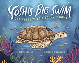 Cover for Yoshi's Big Swim