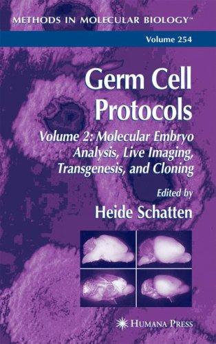 Cover for Germ Cell Protocols: Volume 2