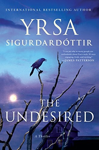 Cover for The Undesired: A Thriller
