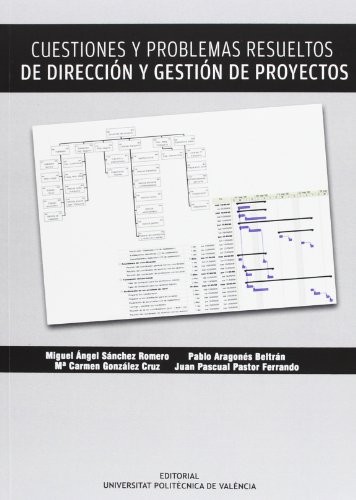 Cover for CUESTIONES Y PROBLEMAS RESUELTOS DE DIRECCIÓN Y GESTIÓN DE PROYECTOS