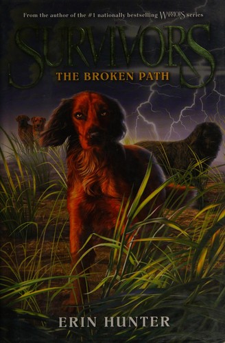 Cover for The Broken Path