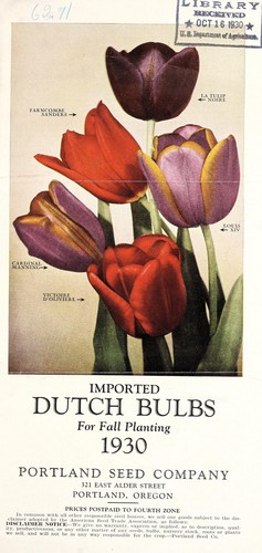 Cover for Imported Dutch bulbs for fall planting, 1930