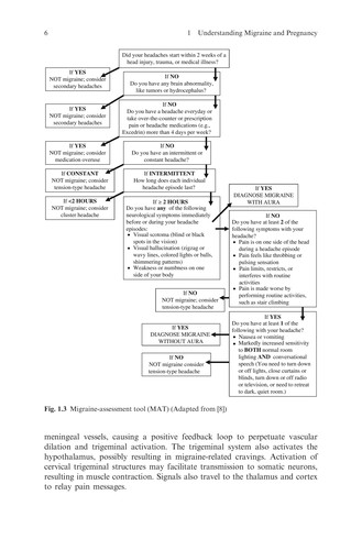 Cover for Effective migraine treatment in pregnant and lactating women