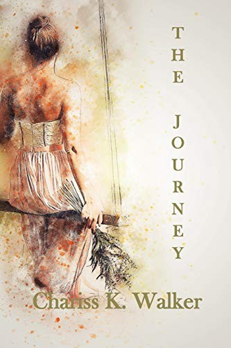 Cover for The Journey