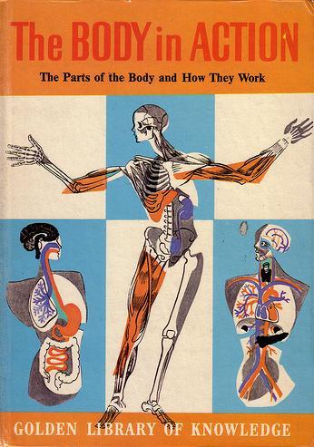 Cover for The Body in Action