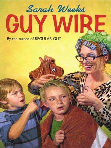 Cover for Guy Wire