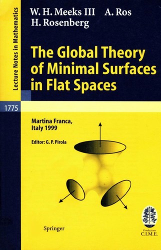 Cover for The global theory of minimal surfaces in flat spaces