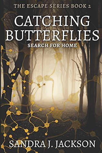Cover for Catching Butterflies