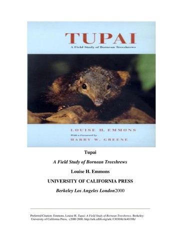 Cover for Tupai