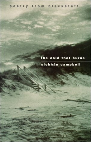 Cover for The colour of our reaching