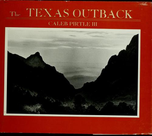 Cover for The Texas outback
