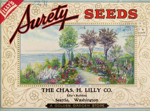 Cover for Lilly's surety seeds