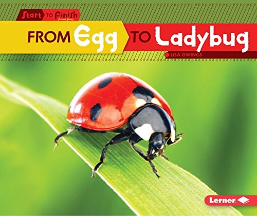 Cover for From Egg to Ladybug