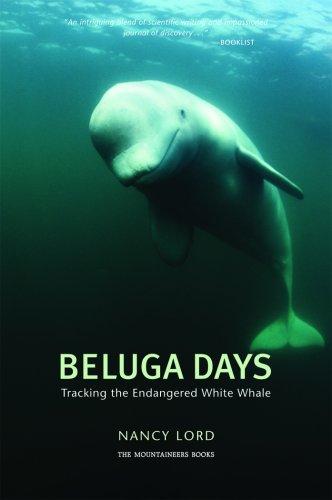 Cover for Beluga Days