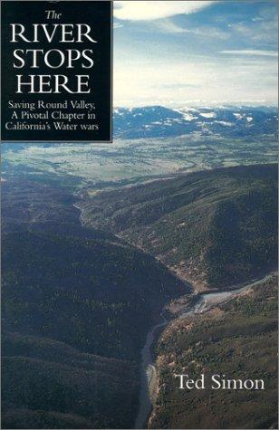 Cover for The River Stops Here