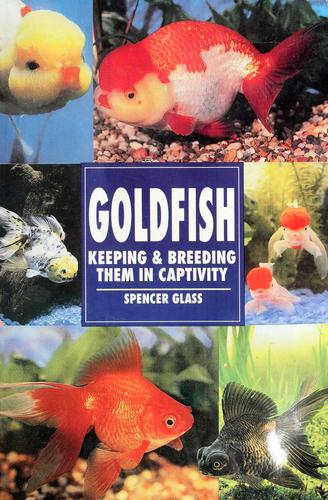 Cover for Goldfish