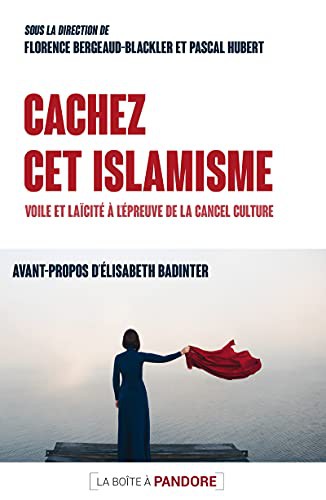 Cover for Cachez cet islamisme