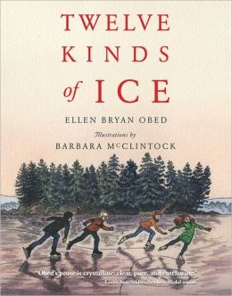 Cover for Twelve kinds of ice