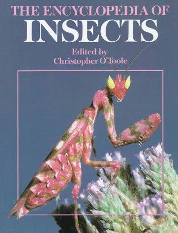 Cover for The Encyclopedia of insects