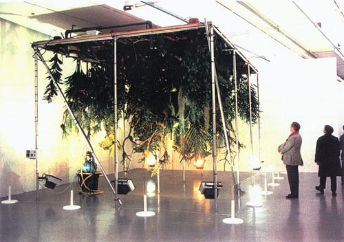 Cover for Trans plant