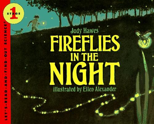 Cover for Fireflies in the night