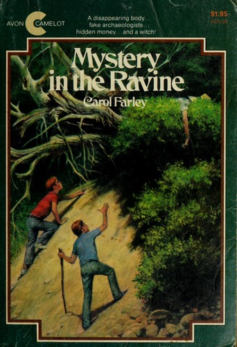 Cover for Mystery in the ravine