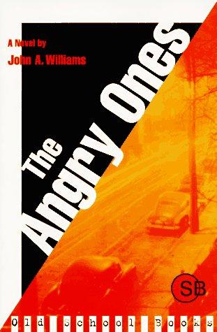 Cover for The angry ones