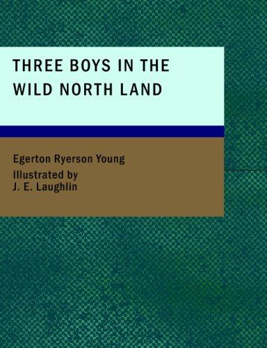 Cover for Three Boys in the Wild North Land (Large Print Edition)