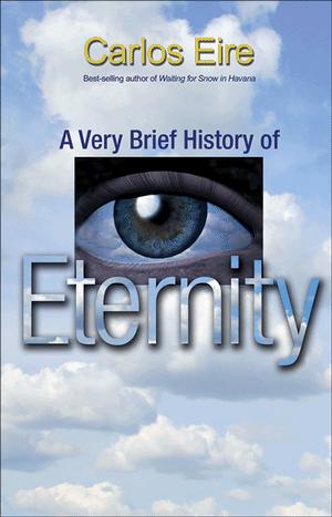 Cover for A very brief history of eternity