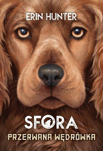 Cover for Przerwana wędrówka
