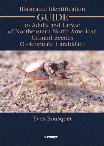 Cover for Illustrated identification guide to adults and larvae of northeastern North American ground beetles (Coleoptera, Carabidae)