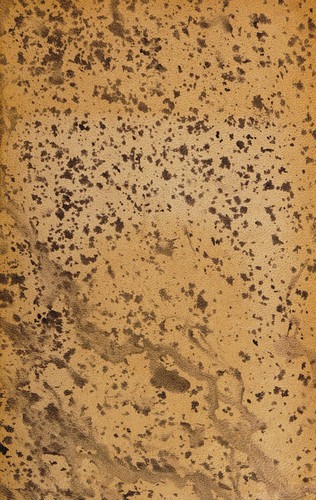 Cover for Cancionero