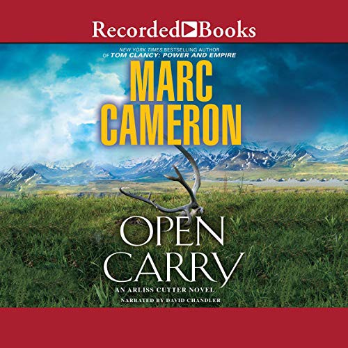 Cover for Open Carry
