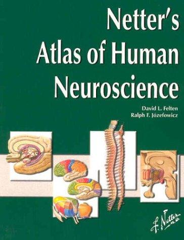 Cover for Netter's Atlas of Human Neuroscience (Netter Basic Science)