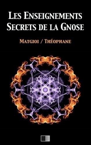 Cover for Les enseignements secrets de la Gnose